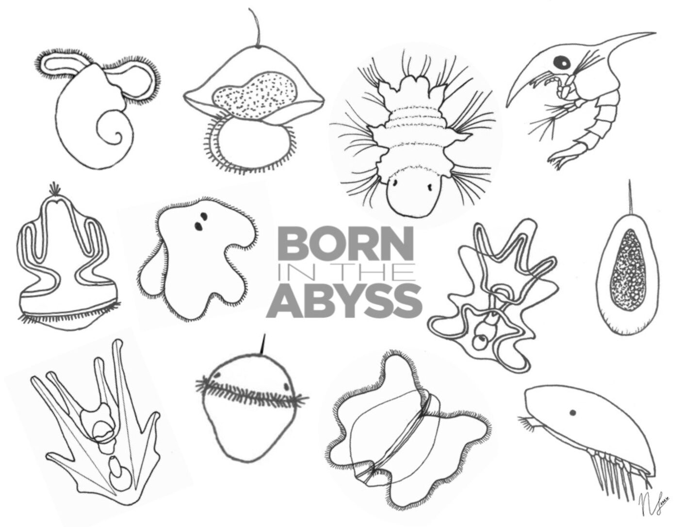 BitA_LarvalColoring-Page1