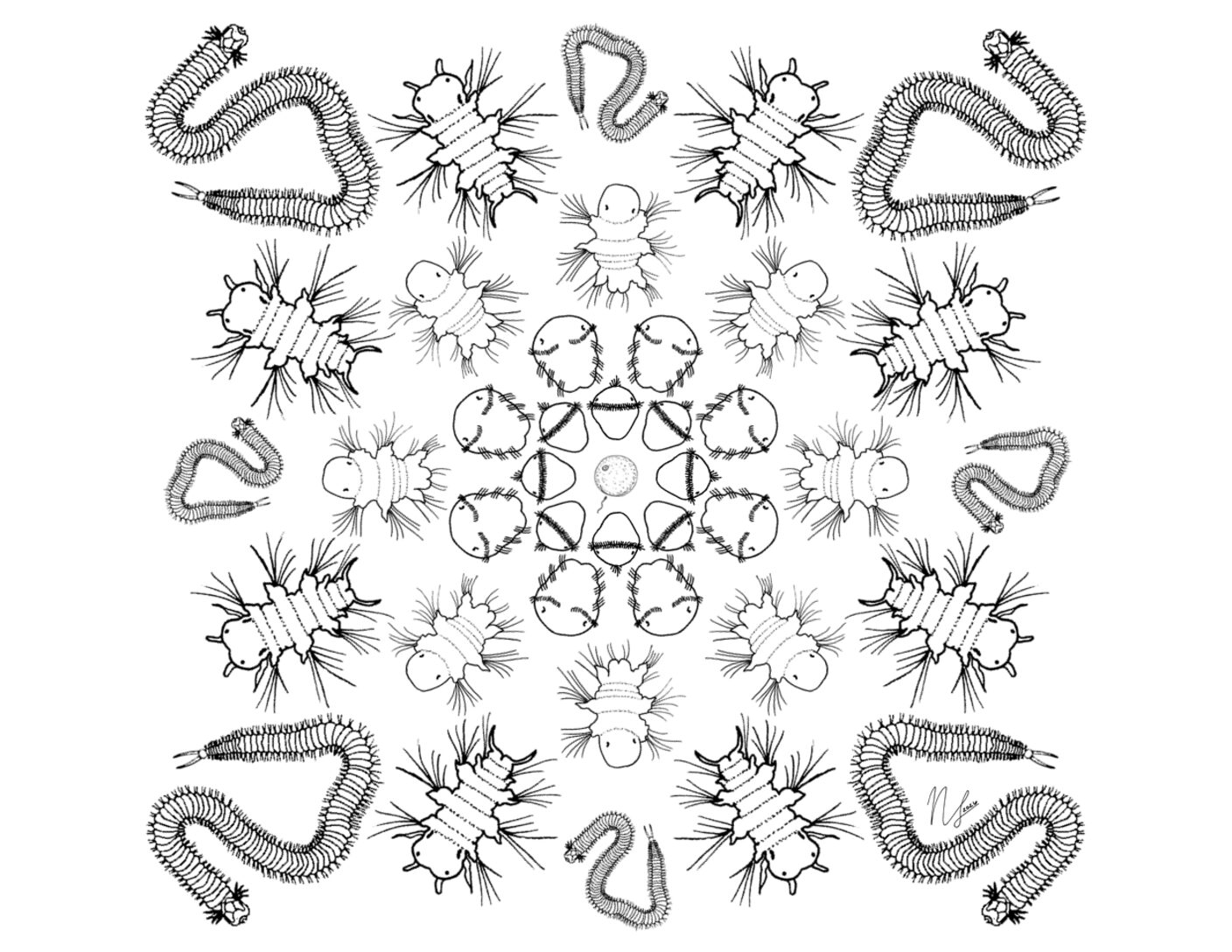 BitA_LarvalMandala_Worm