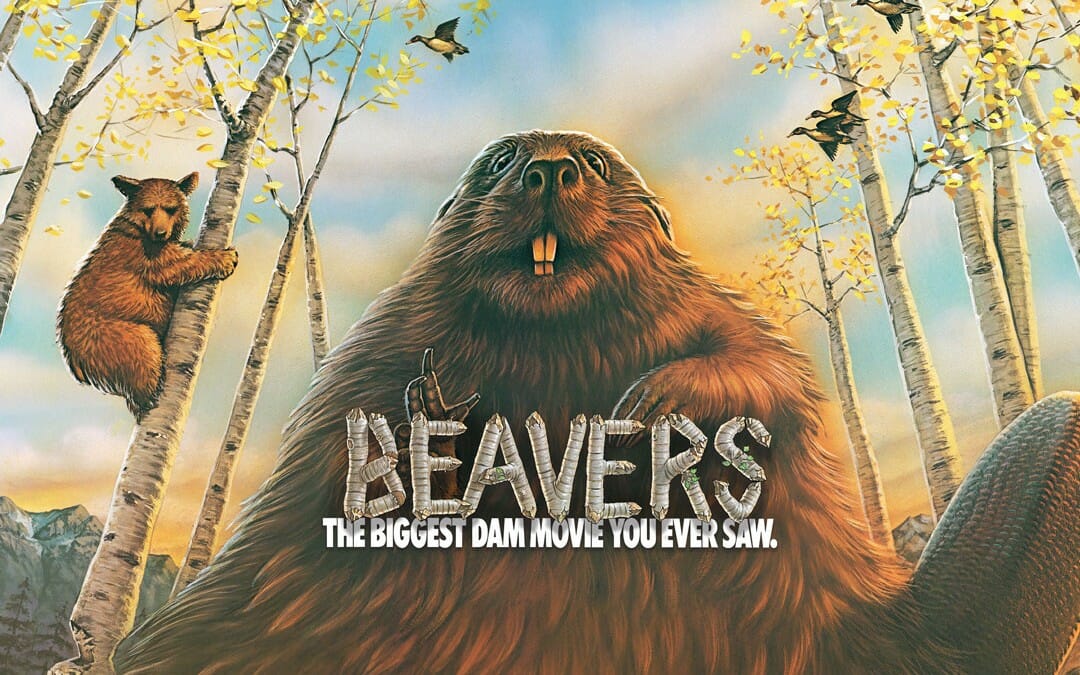 Where to See Beavers